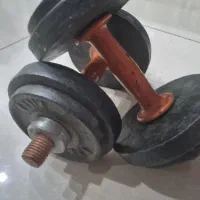 دمبل