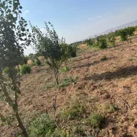 باغشهر ساوالان|فروش زمین و ملک کلنگی|زنجان, |دیوار