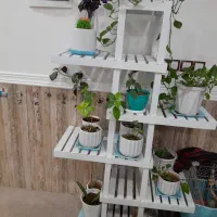 استند در حد نو