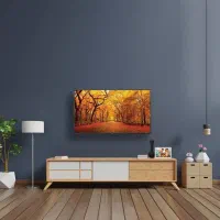 تلویزیون پاناسونیک 50/55/65/75 اینچ قسطی مدل NX900|تلویزیون و پروژکتور|کرج, اصفهانیها|دیوار