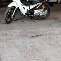 ویو کویر رادیسون۱۵۰ سی سی مدل ۹۳