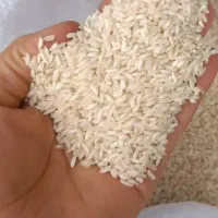 ۳۰۰کیلو چلتک چمپای ابولفارس بفروش میرسد