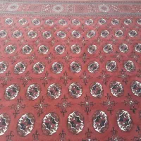 فرش تمیز بزرگ|فرش|بندر ترکمن, |دیوار