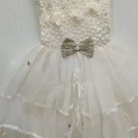 تعدادی لباس