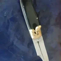 چاقو معاوضه با کبوتر