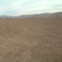 اجاره زمین کشاورزی دیم 5 هکتار کمباین گیر