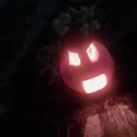 آقا هستم دنبال کار می‌گردم