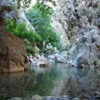 کمپ شب مانی دالاهو