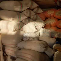 فروش کاه وجو