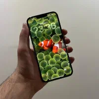 آیفون 13promax|موبایل|تبریز, |دیوار