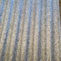 ایرانیت پلیال (شانی)