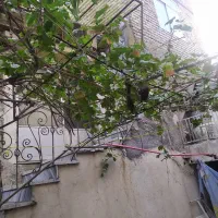 سه واحدآپارتمان حیاط۳۰ متری حاشیه بنی هاشم|فروش آپارتمان|مشهد, کارگران|دیوار