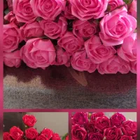 گل رز روبانی|گل مصنوعی|یزد, |دیوار