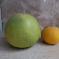 سلطان مرکبات ، پاملو ، دارابی