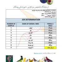 طوطی گرینچیک|پرنده|گنبد کاووس, |دیوار