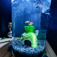 آکواریوم نیمه استوانه ای