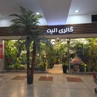 طراحی گل آرایی فلاورباکس دیوارسبز گرینوال درختچه