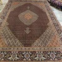 ۶ متری ماهی تبریز