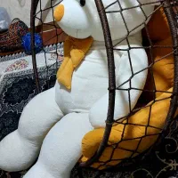 تاب عروسک|اسباببازی|سقز, |دیوار