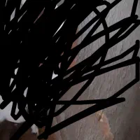 چپش اصل کچل ساناز