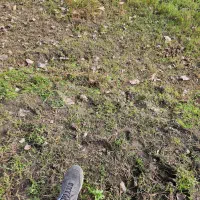 فروش زمین کوهپایه ای/ ویودار/ مناسب ساخت