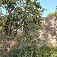 زمین  آماده ساخت ۷۰۰تهراندشت/ سهیلیه/ نمکلان|فروش زمین و ملک کلنگی|هشتگرد, تهران دشت|دیوار