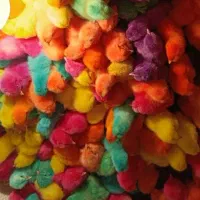 جوجه محلی و رنگی