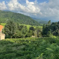 ۵۰۰متر زمین‌جنگلی مسکونی قابلیت تفکیک ویو ابدی