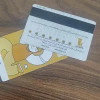 تعدادی کارت ملی و بانکی به اسم مهدی زمانی گمشده