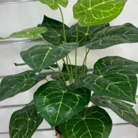 گلدان بزرگ ویک متری برگ برگ انجیری|گل مصنوعی|فردیس, فردیس|دیوار