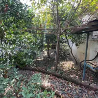 ویلاباغ جذاب داخل یه کوچه باغی/آگهی واقعی|فروش خانه و ویلا|دابودشت, |دیوار