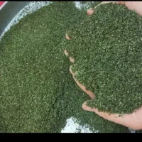 نعناخشک تازه باغی