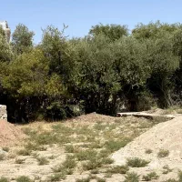 *زمین بر جاده اصلی واقع در اندیکا|فروش زمین و ملک کلنگی|اهواز, سلطانمنش|دیوار