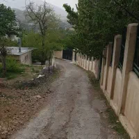 اختیاریه-310متر-مشارکت-شرایط-ویژه