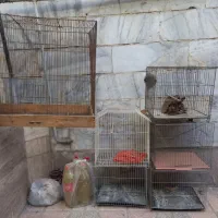 چند عدد قفس در حد نو سالم