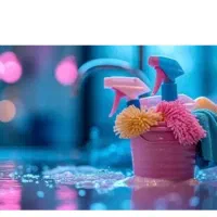 نظافت چی و خدمتکار