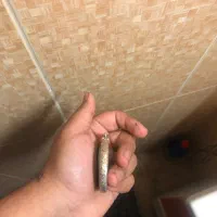 پلاک ۵۰ گرمی فیروزه نیشابوری با رکاب پلاک|جواهرات|سیرجان, |دیوار