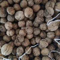 گردو درجه یک