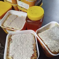 عسل طبیعی ارگانیک  شهرستان خلخال