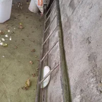 نردبان با لوله گازی ۴