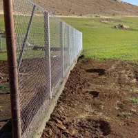 نصب تور فنس|خدمات پیشه و مهارت|بوکان, |دیوار