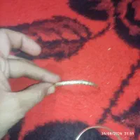 النگوی طلا