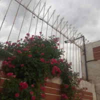 سیستم های امنیتی نصب دوربین مدار بسته  و  دزدگیر