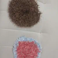 اسکاچ بافتنی کار دست همکاری با سوپری ها و خرازی ها