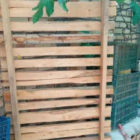 دوعدد زیرتختی نو نو