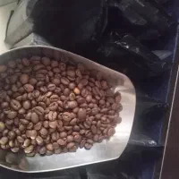 باریستا کافه کافی شاپ ها و دکه ها