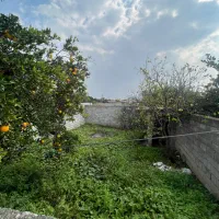 فروش زمین مسکونی روستای ۱۰۰ متری با سندتک برگ|فروش زمین و ملک کلنگی|کیاکلا, |دیوار