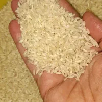 برنج عطری عنبربو|خوردنی و آشامیدنی|اصفهان, شهرک کاوه|دیوار