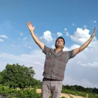 راننده پایه یک