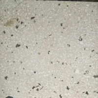 موزائیک